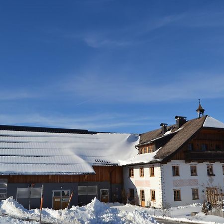Vorderreithbauer Leilighet Hof bei Salzburg Eksteriør bilde