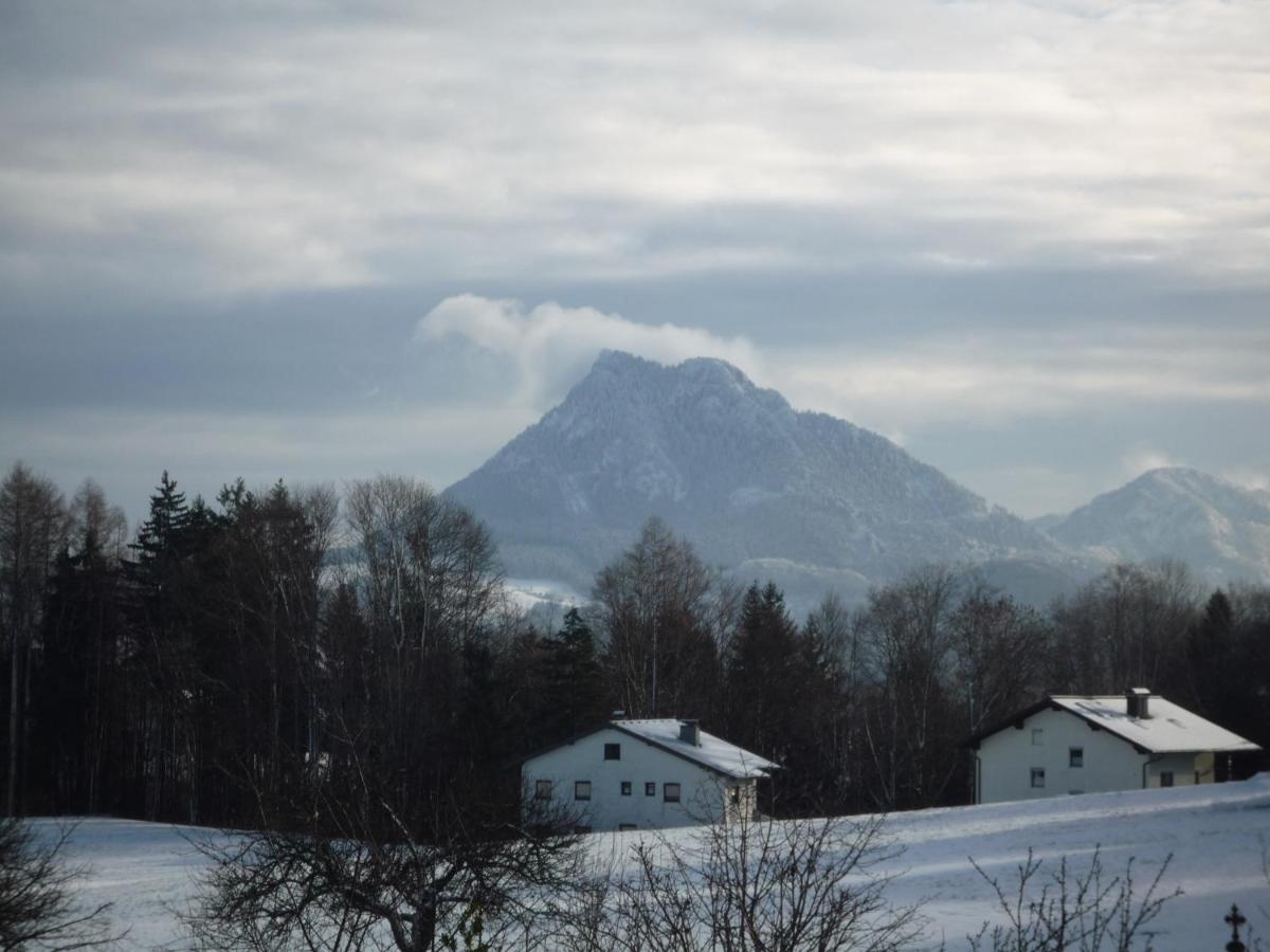 Vorderreithbauer Leilighet Hof bei Salzburg Eksteriør bilde