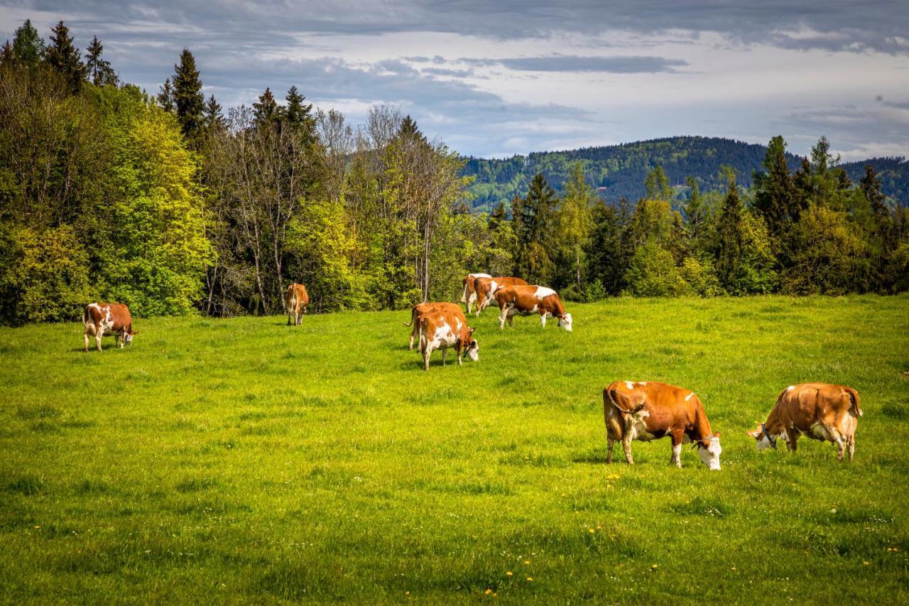 Vorderreithbauer Leilighet Hof bei Salzburg Eksteriør bilde